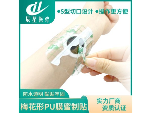 梅花形pu膜蜜制貼