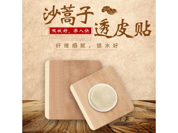 東進(jìn)沙蒿子透皮貼 透皮吸收 多種規(guī)格 可OEM定制批發(fā) 供醫(yī)院藥店