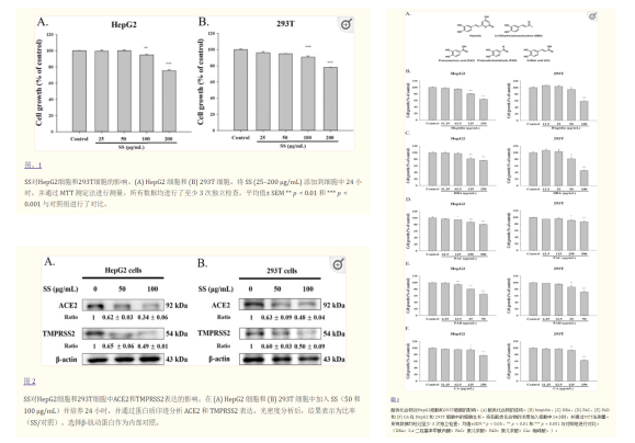 1670384028773143.png 31.png