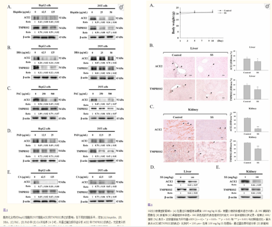 1670384050238184.png 32.png