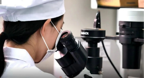 1671088770353221.png 41.png