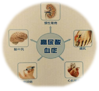 1679883326769491.png 圖片1.png