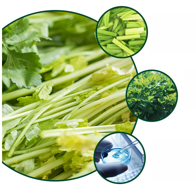 1679884065511642.png 圖片5.png