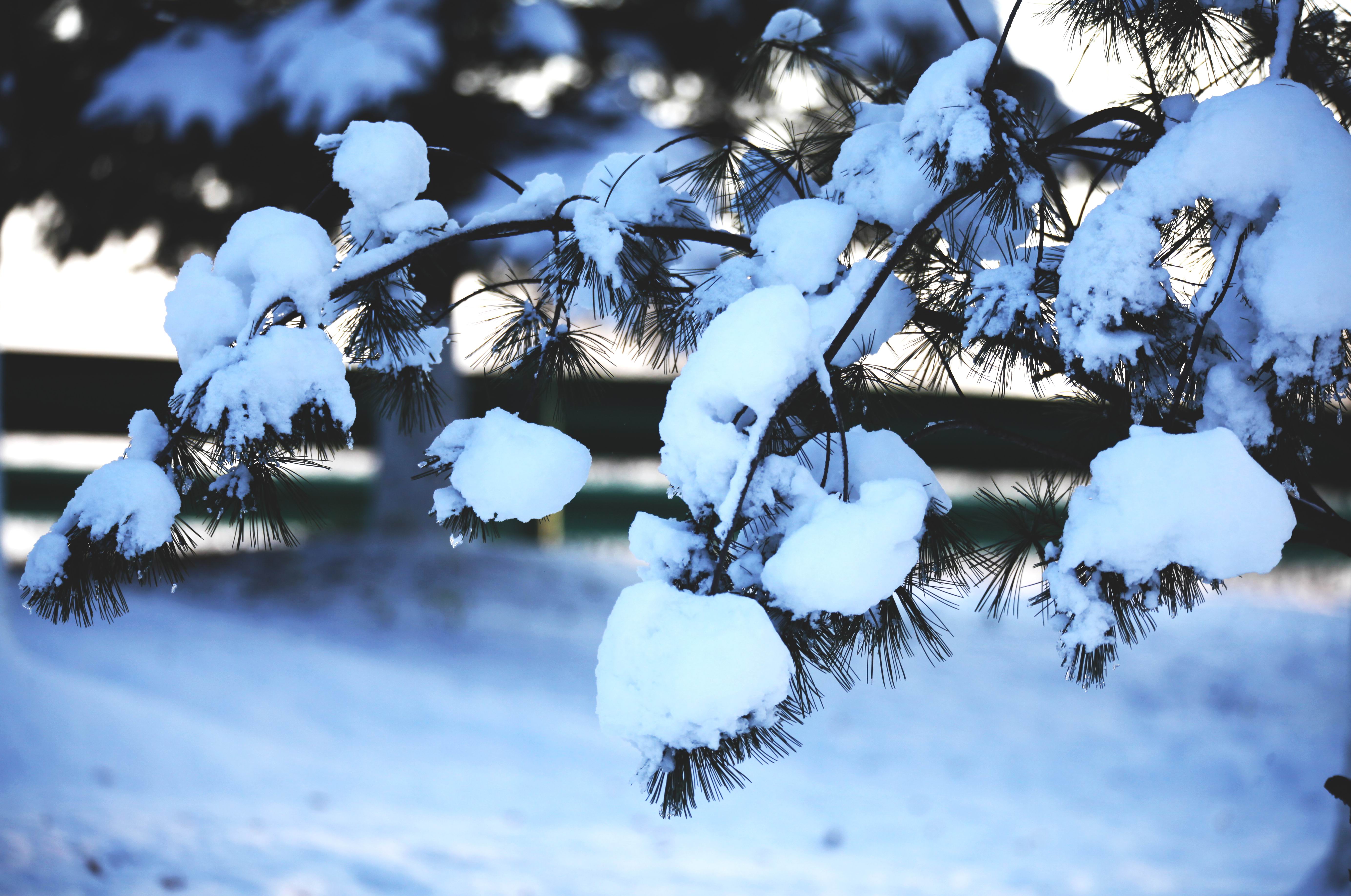 1703469228552264.jpg 1703469228552264.jpg