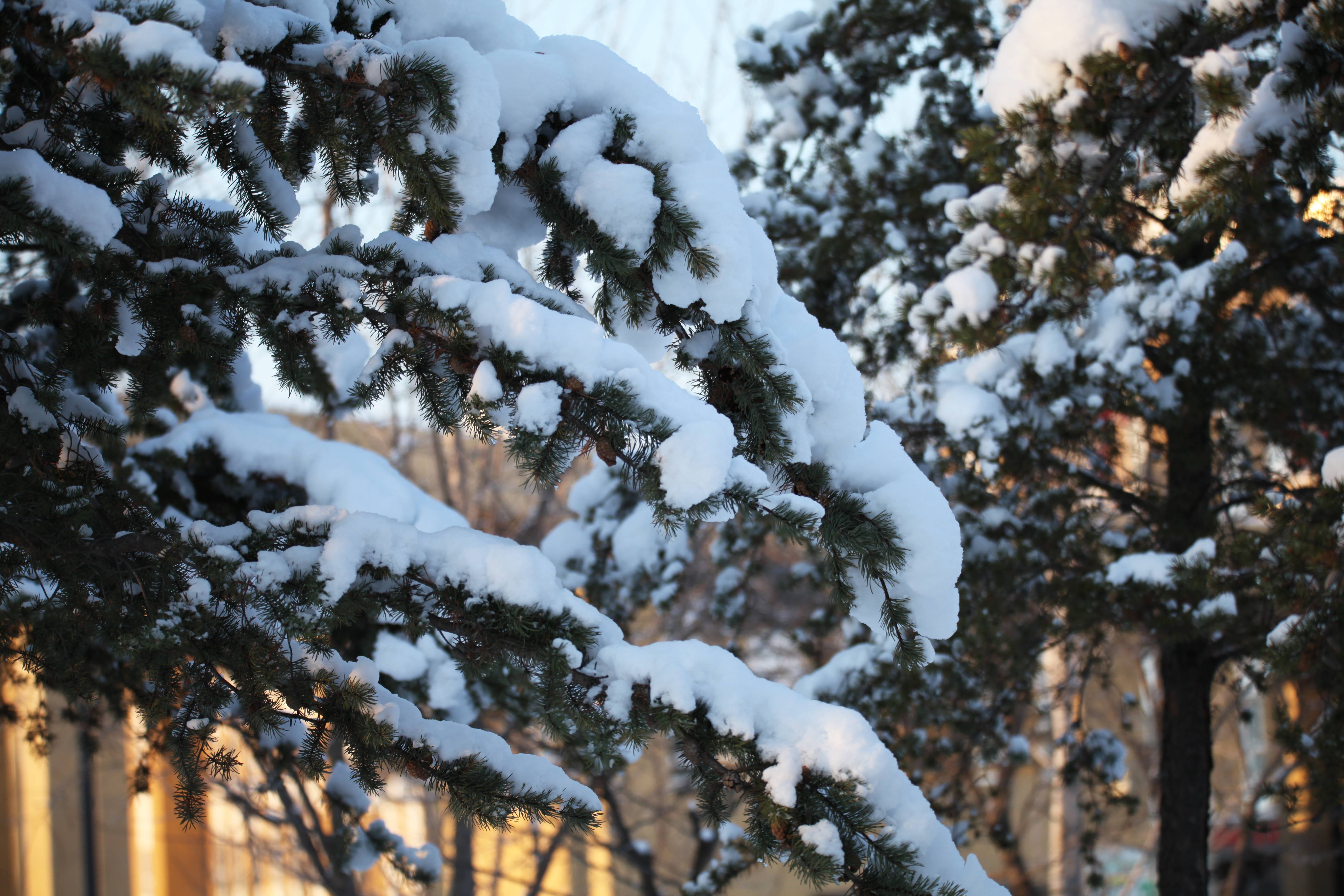 1703469326857220.jpg 1703469326857220.jpg