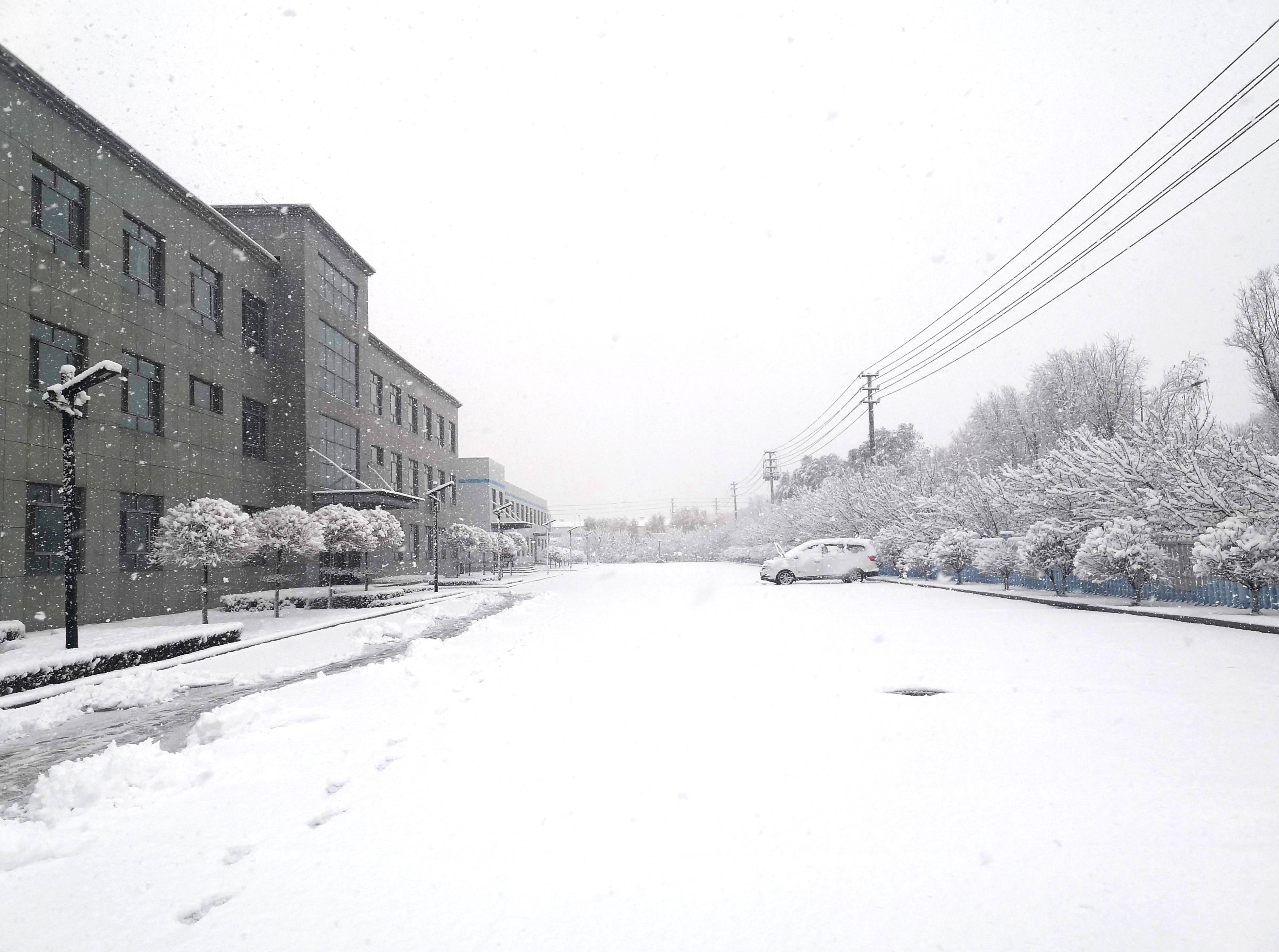 1703469382445593.jpg 1703469382445593.jpg