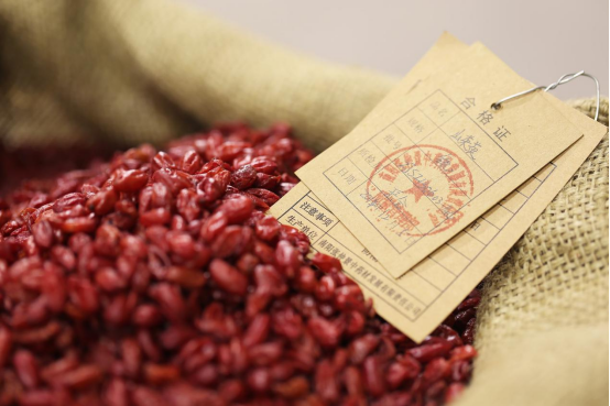 1723100047509234.png image.png