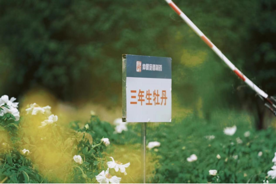 1723100060556000.png image.png