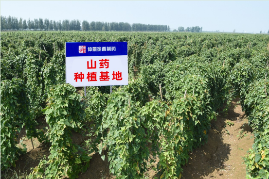 1734682011934614.png image.png