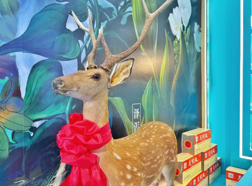 1755500029360437.png image.png