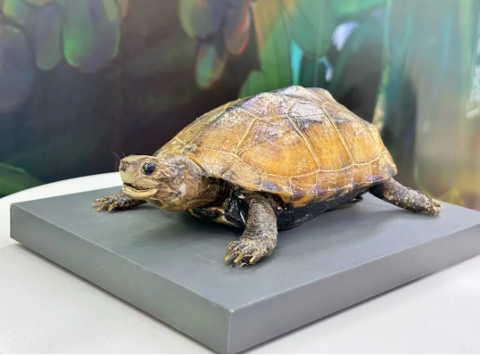 1755500048778157.png image.png